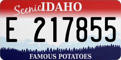 ID license plate E217855