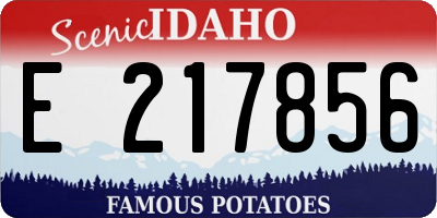 ID license plate E217856
