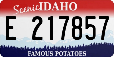 ID license plate E217857