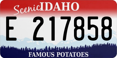 ID license plate E217858