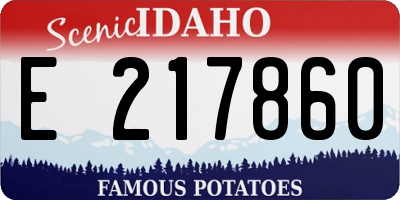ID license plate E217860