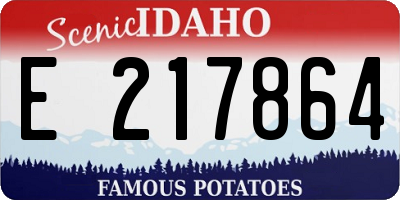 ID license plate E217864