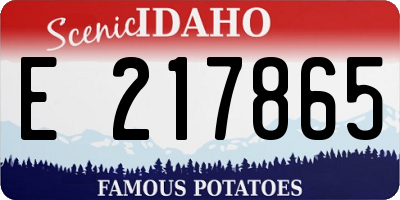 ID license plate E217865