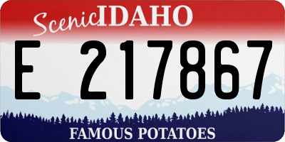 ID license plate E217867