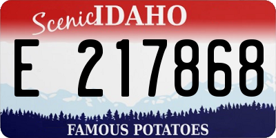 ID license plate E217868
