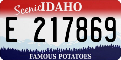 ID license plate E217869