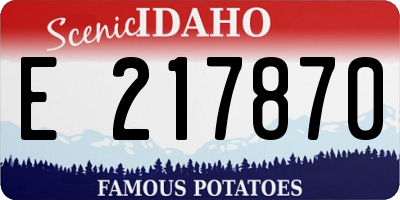 ID license plate E217870