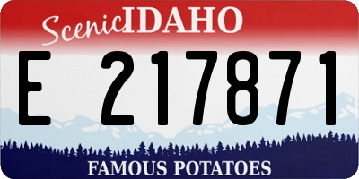 ID license plate E217871