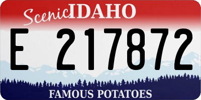 ID license plate E217872