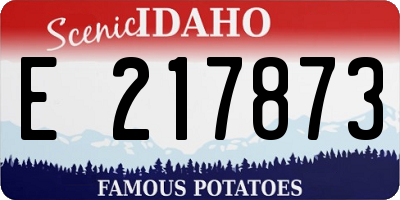 ID license plate E217873