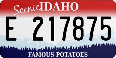 ID license plate E217875