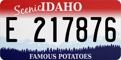 ID license plate E217876