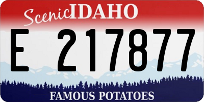 ID license plate E217877