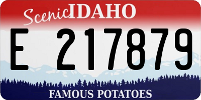ID license plate E217879