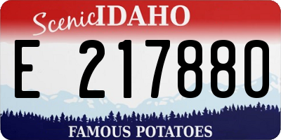 ID license plate E217880