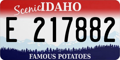 ID license plate E217882