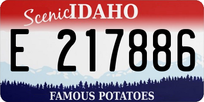 ID license plate E217886