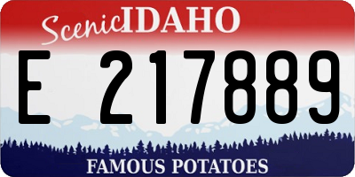 ID license plate E217889
