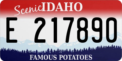 ID license plate E217890