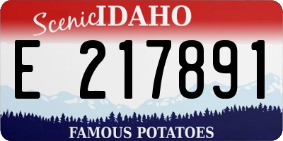 ID license plate E217891