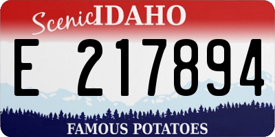 ID license plate E217894