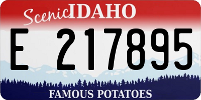 ID license plate E217895