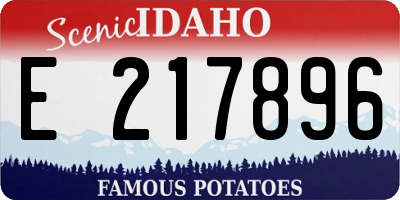ID license plate E217896