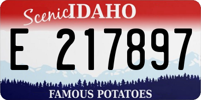 ID license plate E217897