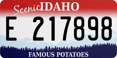 ID license plate E217898