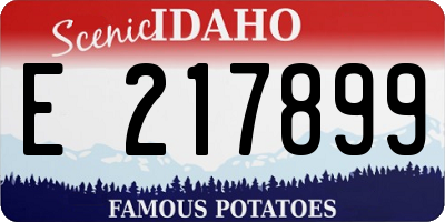 ID license plate E217899