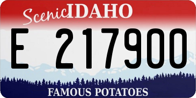 ID license plate E217900