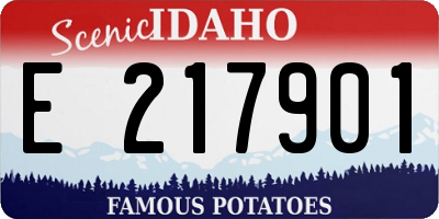 ID license plate E217901