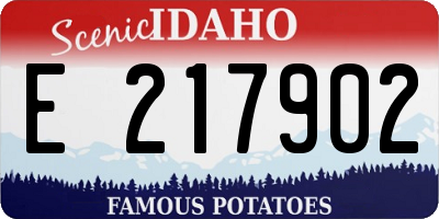 ID license plate E217902