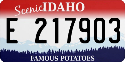 ID license plate E217903