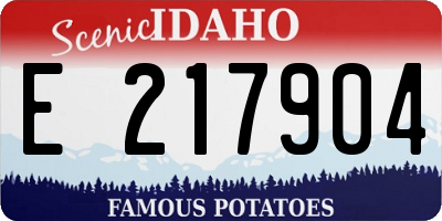 ID license plate E217904