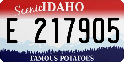 ID license plate E217905