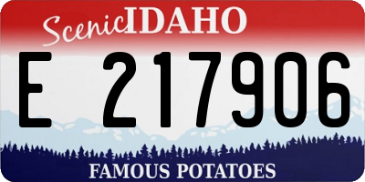 ID license plate E217906