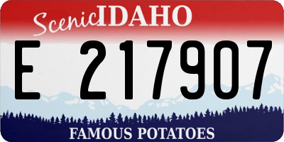 ID license plate E217907