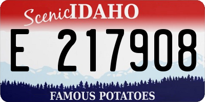 ID license plate E217908