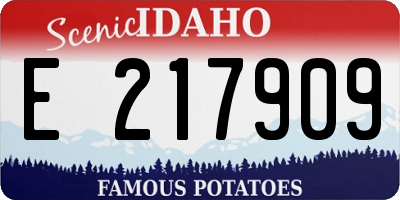 ID license plate E217909