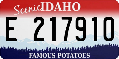 ID license plate E217910