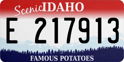 ID license plate E217913