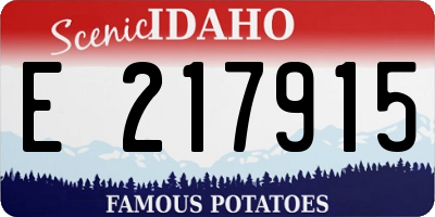 ID license plate E217915