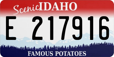 ID license plate E217916