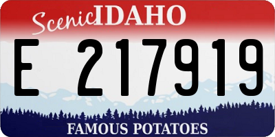 ID license plate E217919