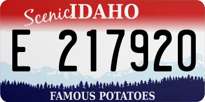 ID license plate E217920