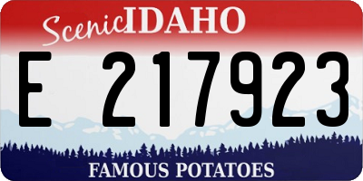 ID license plate E217923