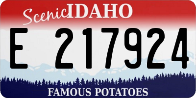 ID license plate E217924