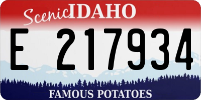 ID license plate E217934