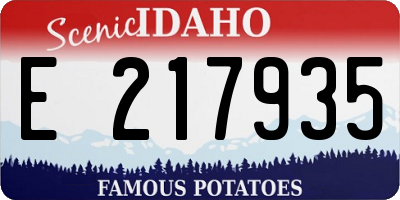 ID license plate E217935